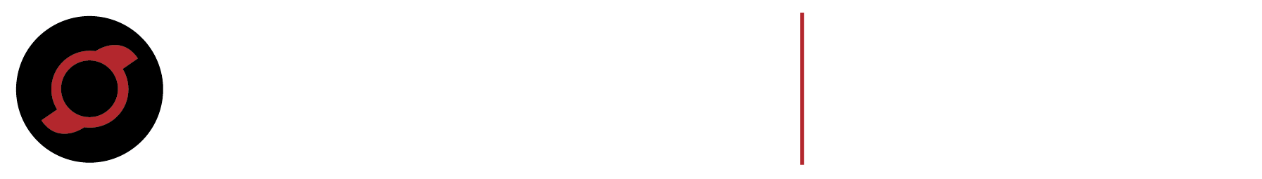 Avinger_FLEX_Logo_White_Fill
