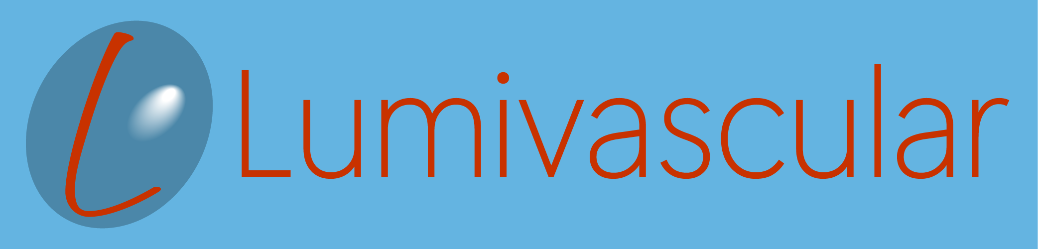 Lumivascular Logo Name 01